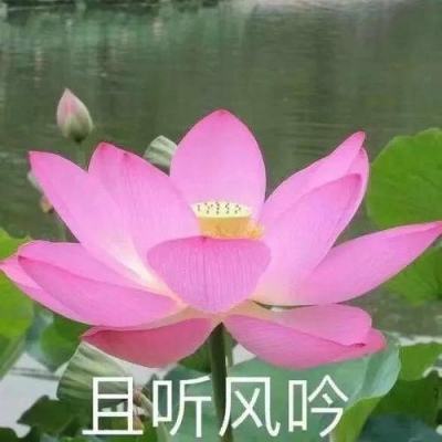 广东省药品监督管理局原党组书记、局长江效东被开除党籍和公职